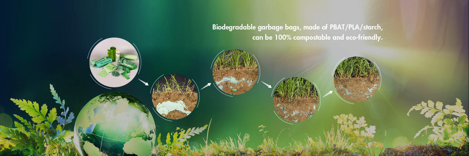 Biodegradable Bag