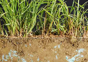 Weifang Hongcheng New Materials Co., Ltd.